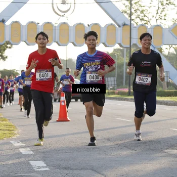 Runner Photo 8052961