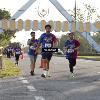 Runner Photo 8053141
