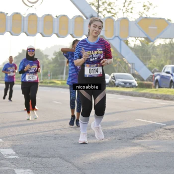 Runner Photo 8053218