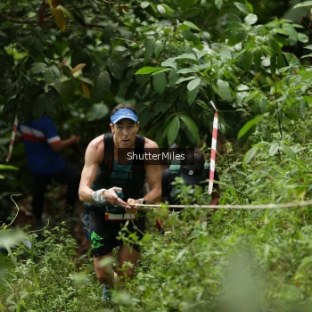 Runner Photo 80537