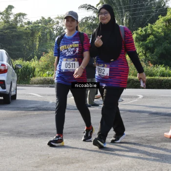 Runner Photo 8054320