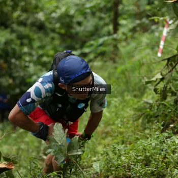 Runner Photo 80546
