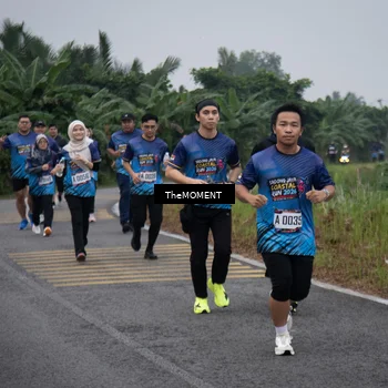 Runner Photo 8055347