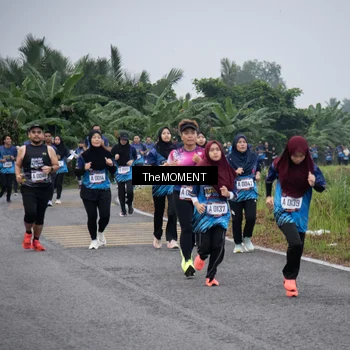 Runner Photo 8055362