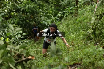 Runner Photo 80598