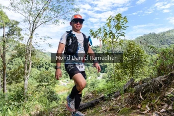 Runner Photo 80602