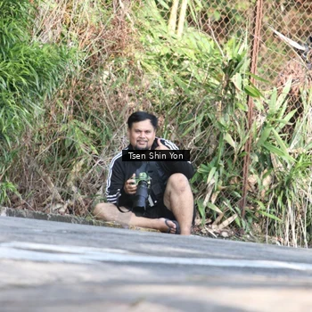 Runner Photo 8062937