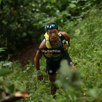 Runner Photo 80637