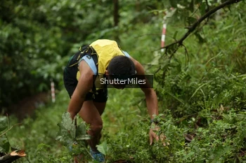 Runner Photo 80669