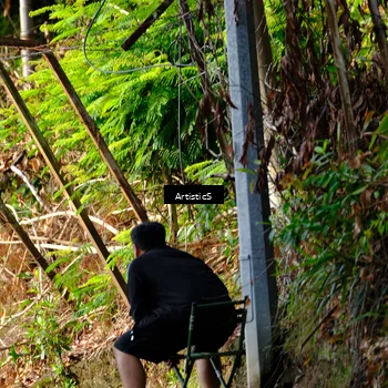 Runner Photo 8067988