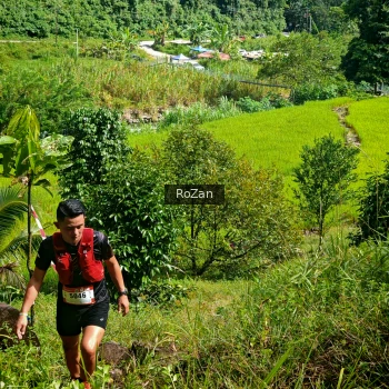 Runner Photo 80691