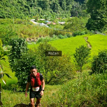 Runner Photo 80700