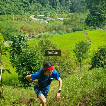 Runner Photo 80746