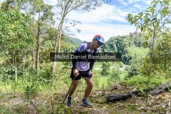 Runner Photo 80752
