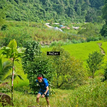 Runner Photo 80768