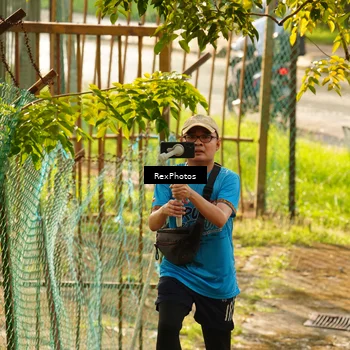 Runner Photo 8078593