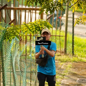 Runner Photo 8078597
