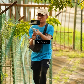 Runner Photo 8078598