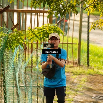 Runner Photo 8078600