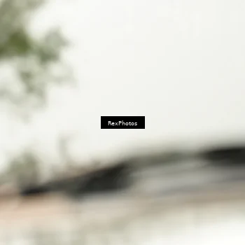 Runner Photo 8078667