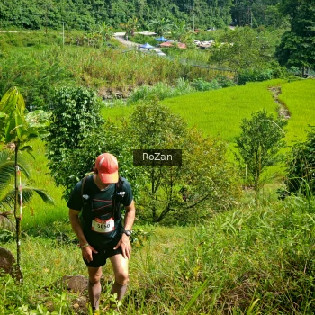 Runner Photo 80792