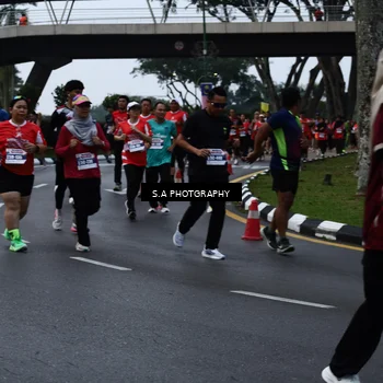 Runner Photo 8081035