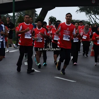 Runner Photo 8081081