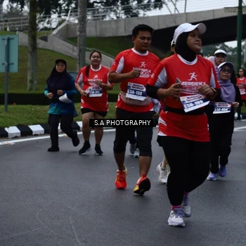 Runner Photo 8081178