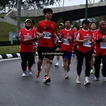 Runner Photo 8081179
