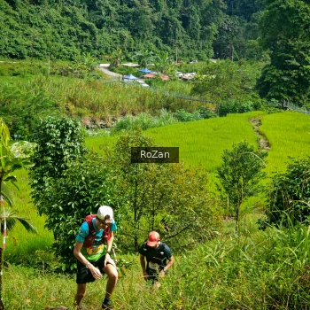 Runner Photo 80815
