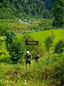 Runner Photo 80826