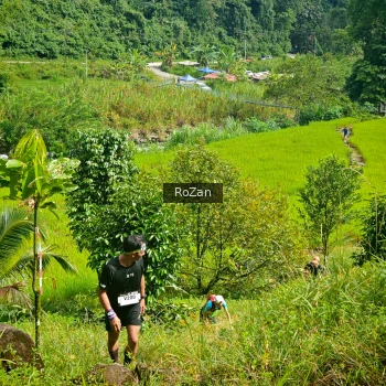 Runner Photo 80856