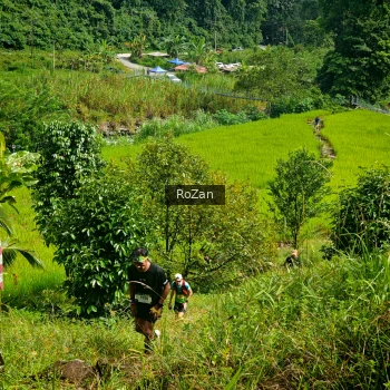 Runner Photo 80863