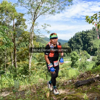 Runner Photo 80884