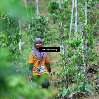 Runner Photo 8089765