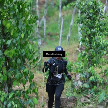 Runner Photo 8089805
