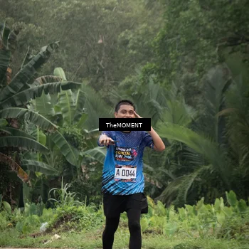 Runner Photo 8089884