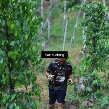 Runner Photo 8089891