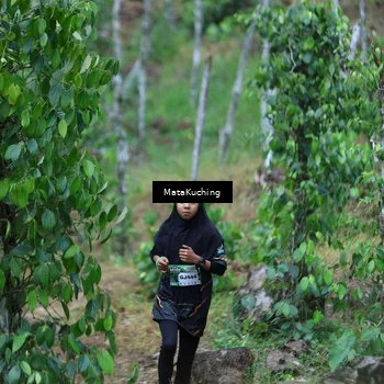 Runner Photo 8089917