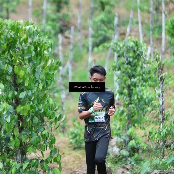 Runner Photo 8089924