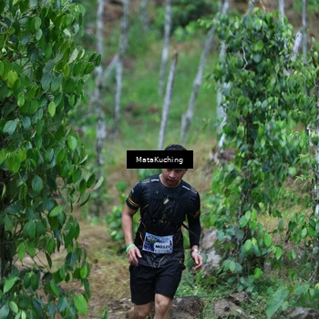 Runner Photo 8089939