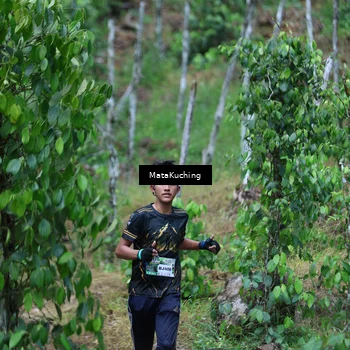 Runner Photo 8089945