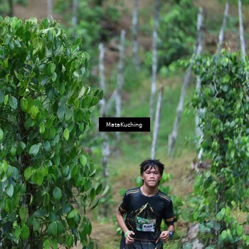 Runner Photo 8089971