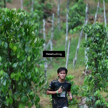 Runner Photo 8089973