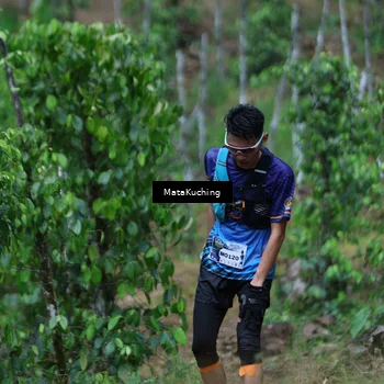 Runner Photo 8090026