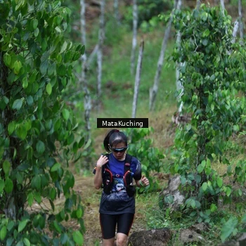 Runner Photo 8090053