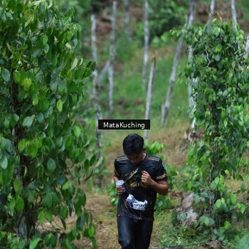 Runner Photo 8090094