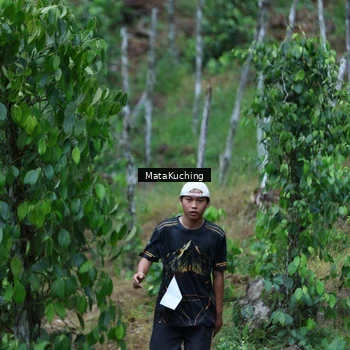 Runner Photo 8090104