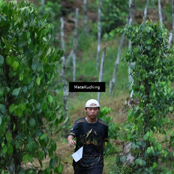 Runner Photo 8090119