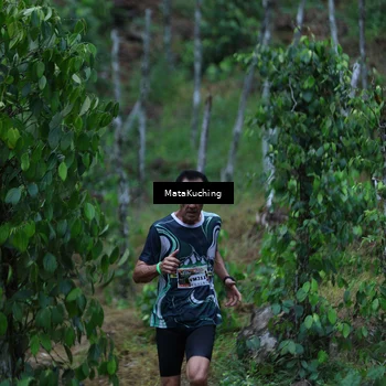 Runner Photo 8090148